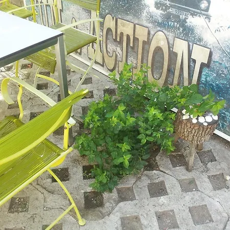 Hostel Old House