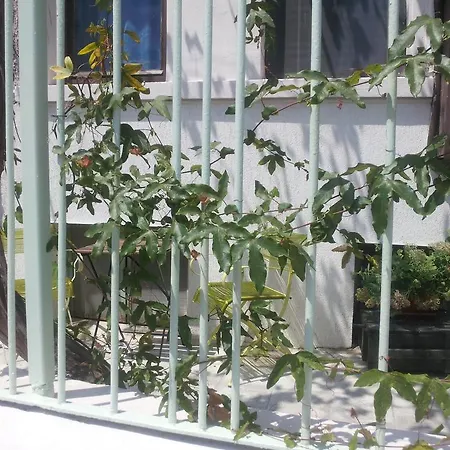 Hostel Old House Burgas