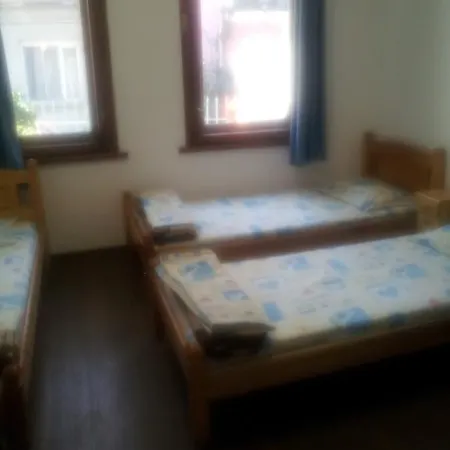 Hostel Old House