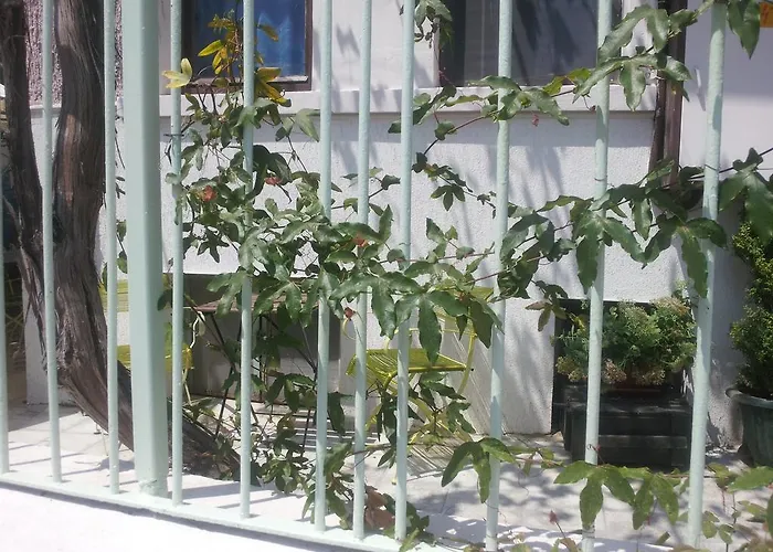 Hostel Old House Burgas City